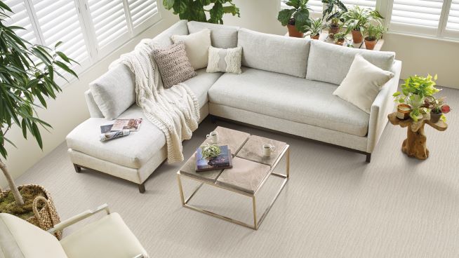 bright earth toned carpet in a stylish living room